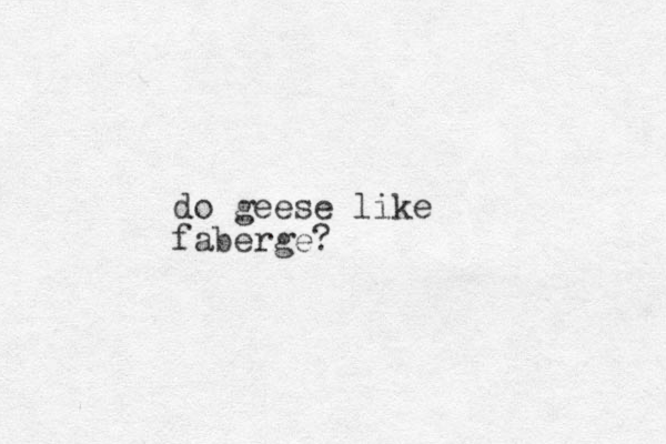 do geese like faberge? 