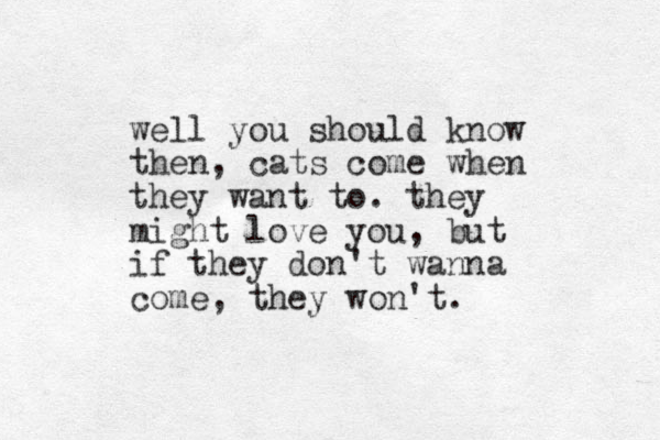 well you should know the n, cats come when they want to. they might love you, but if they don't wanna come, they won't. 