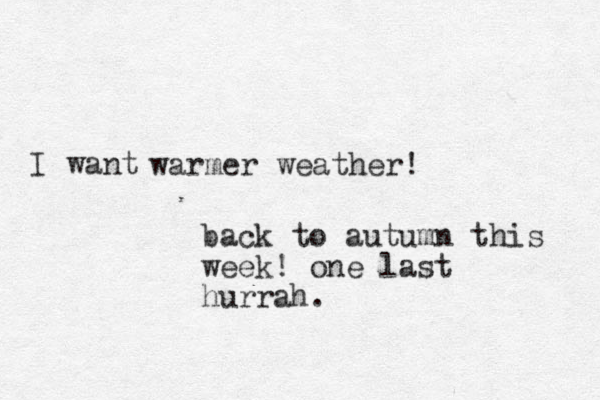 warmer weather! I want back to autumn this week! one last hurrah.