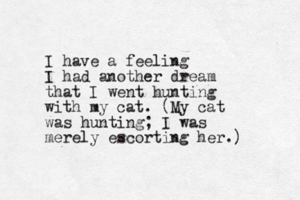 I have a feeling I had another dream that I went hunting with my cat. (My cat was hunting; I was merely escorting her.) 