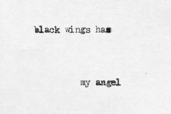 b lack l wings has my angel 