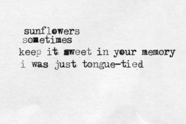 sunflowers sometimes keep it sweet in your memory i was just tongue-tied