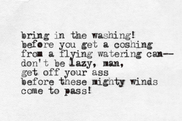 bring in the washing! before you get a coshing from a flying watering can-- don't be lazy, man, get off your ass before these mighty winds come to pass!