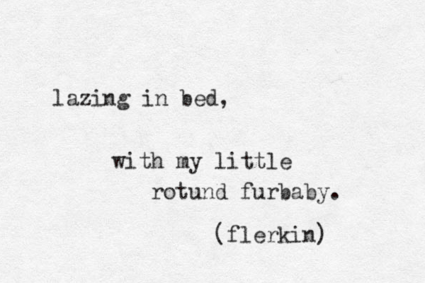 lazing in bed, with my little rotund furbaby. (flerkin) 