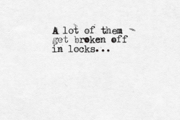 A lot of them get broken off in locks...