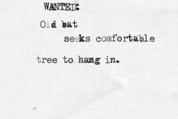 Old bat WANTED: seeks comfortable tree to hang in.