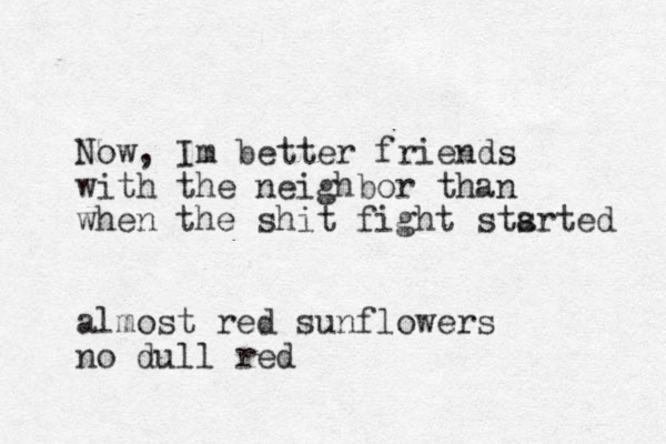 Now, Im better friends with the neighbor than when the shit fight stsrted a almost red sunflowers no dull red 