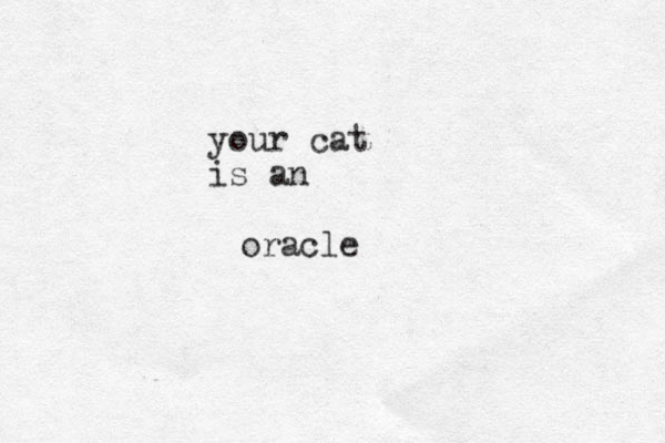 your cat is an oracle 