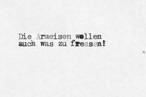 Die Armeisen wollen auch was zu fressen! 