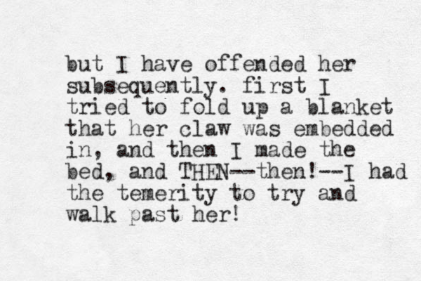 but I have offended her subsequently. first I tried to fold up a blanket that her claw was embedded in, and then I made the bed, and THEN--then!--I had the temerity to try and walk past her! 