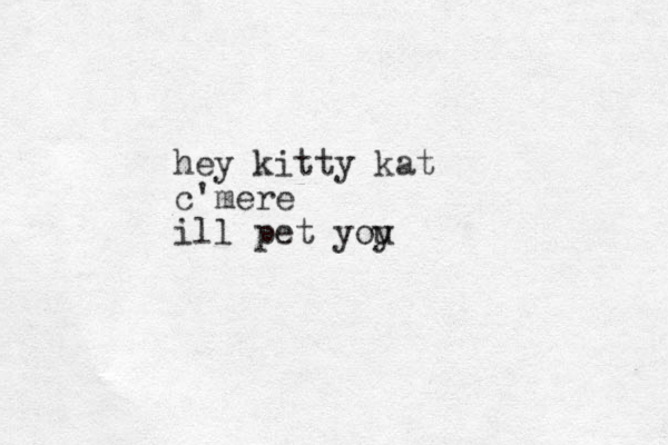 hey kitty kat c'mere ill pet yoy u