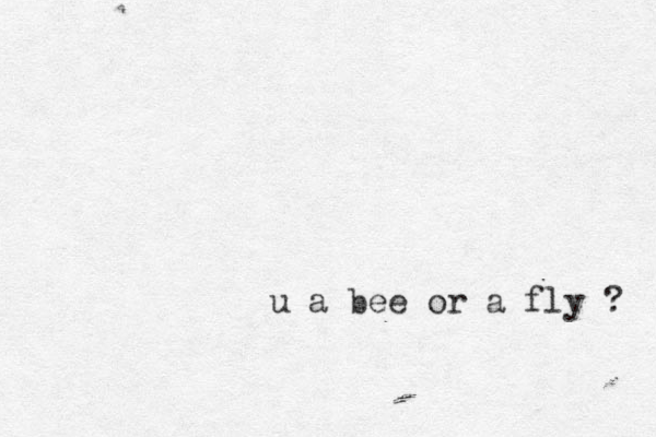 u a bee or a fly ? 