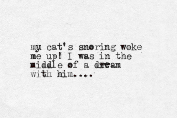 mu y cat's snoring woke me up! I was in the middle of a drram with him.... e 