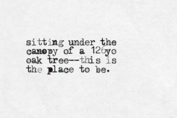 sitting under the canopy of a 126yo oak tree--this is the place to be.
