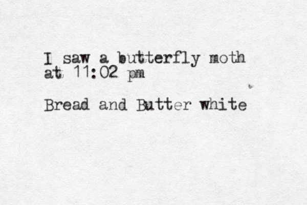 I saw a butterfly moth at 11:02 pm Bread and Butter white