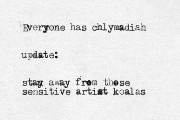 Everyone has chlymadiah update: stau y away from those sensitive artist koalas