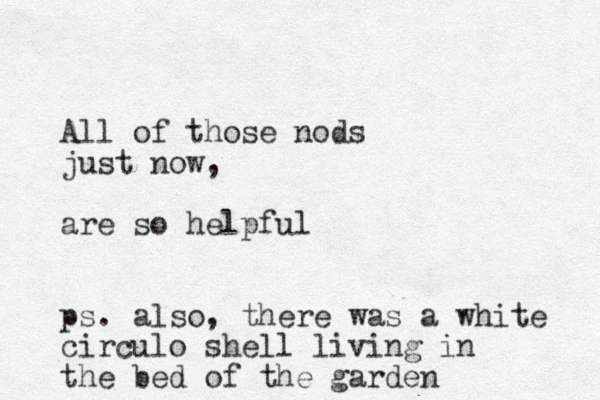 All of those nods just now, are so helpful ps. also, there was a white circulo shell living in the bed of the garden 