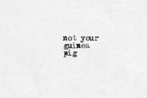 not your guinea pig