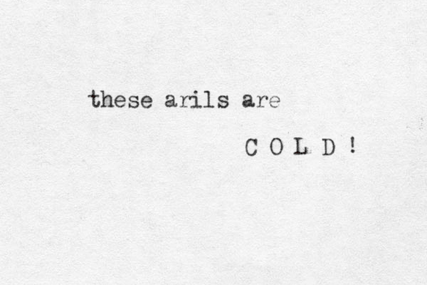 these arils are C O L D ! 