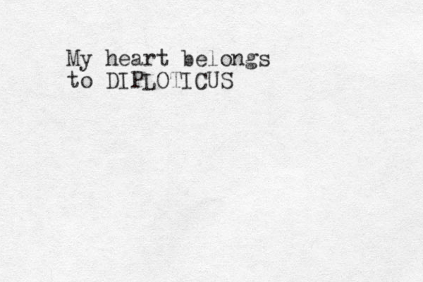 My heart belongs to DIPLOTICUS
