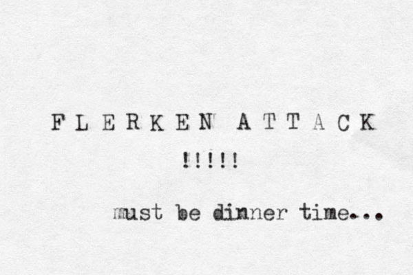 F L E R K E N A T T A C K !!!!! must be dinner time... 