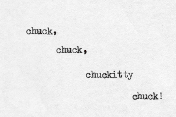 chuck, chuck, chuckitty chuck! 