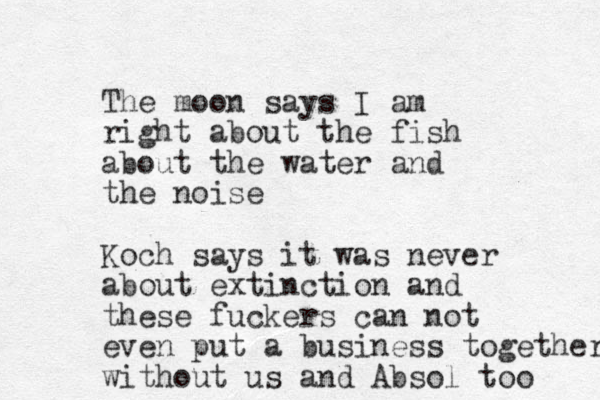 The moon says I am right about the fish about the water and the noise Koch says it was never about extinction and these fuckers can not even put a business together without us and Absol too 
