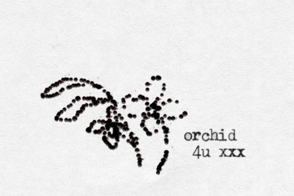 .............................................................................................................. orchid 4u xxx ........................................................................................................................................................................................