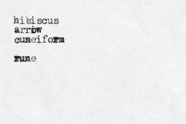 hibiscus arriw o o cuneiform rune