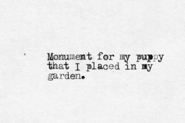Monument for my puppy that I placed in my garden.
