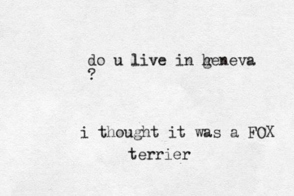 i thought it was a FOX do u live in heneva g ? terrier