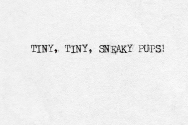 TINY, TINY, SNEAKY PUPS! 