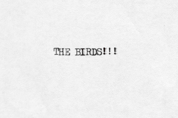 THE BIRDS!!! 