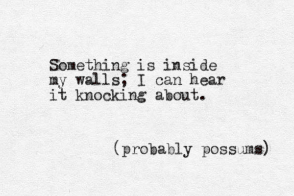 Something is inside my walls; I can hear it knocking about. (probably possums) 