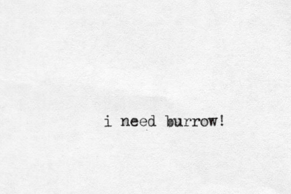 i need burrow! 