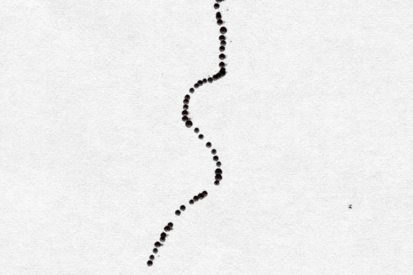 .................................................. 