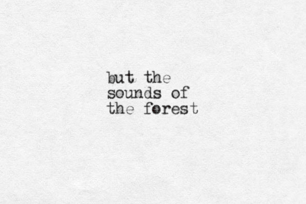 but the sounds of the forest
