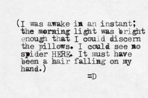 (I was awake in an instant; the morning light was bright enough that I could discern the pillows. I could see no spider HERE. It must have been a hair falling on my hand.) =D