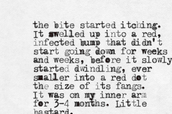 the bite started itching. It swelled up into a red, infected bump that didn't start going down for weeks and weeks, before it slowly started dwindling, ever smalle r into a red dot the size of its fangs. It was on my inner arm for 3-4 months. Little bastard.