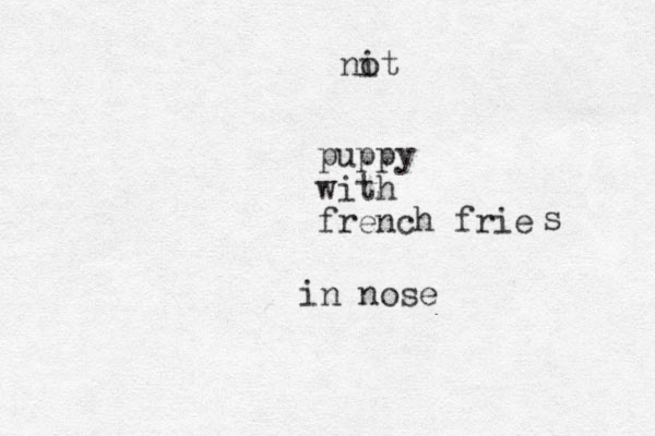 puppy with french frie s in nose o nit