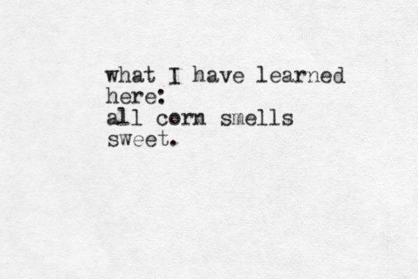 what I have learned here: all corn smells sweet.