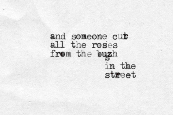 and someone cur t all the roses from the buzh s in the street 