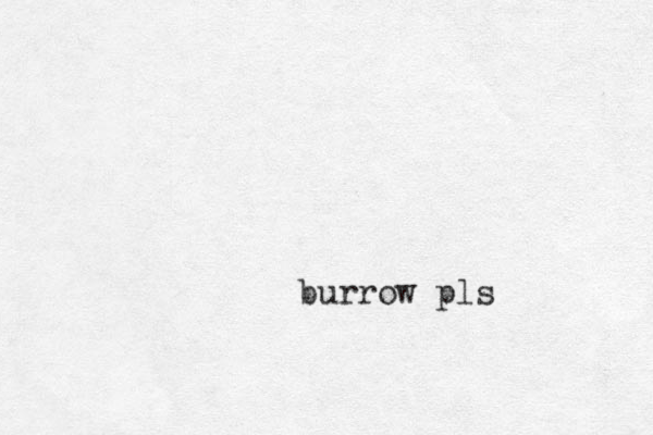 burrow pls 