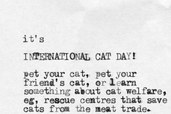 it's INTERNATIONAL CAT DAY! pet your cat, pet your friend's cat , or learn something about cat welfare, eg, reacue s s centres that save cats from the meat trade. 