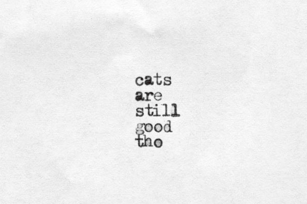 cats are still good tho