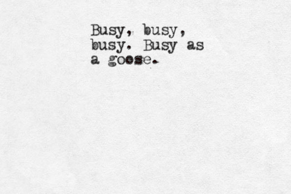 Busy, busy, busy. Busy as a goose.