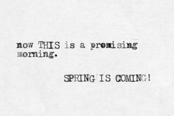 now THIS is a promising morning. SPRING IS COMING! 