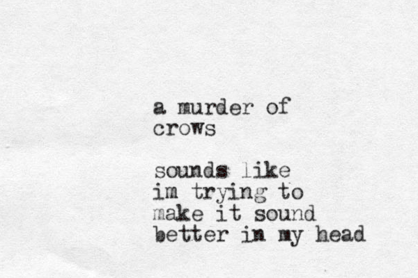a murder of crows sounds like im m trying to make it sound better in my head 