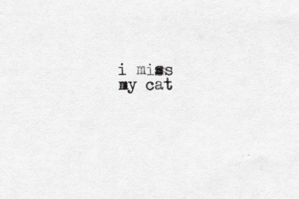 i miss my cat