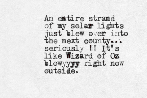 An entire strand of my solar lights just blew over into the next county... seriously !! It's like Wiz zard of Oz blowyyyy right now outside. 